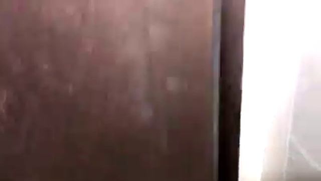 Peyser adam смотреть онлайн