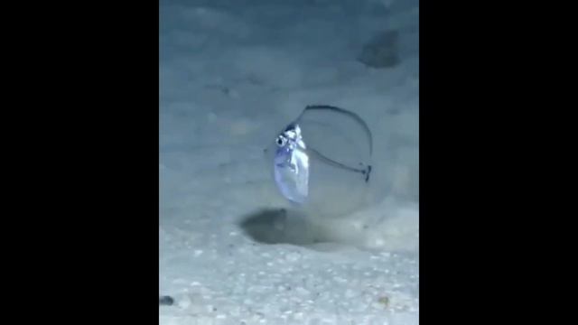 Осеннее обострение 🤕🤕🤕😱😱😱