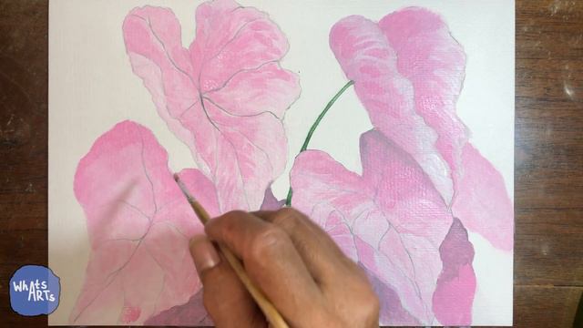 Painting Pink Caladium // Melukis Pink Caladium смотреть онлайн