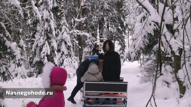Катание на санях в Санкт-Петербурге смотреть онлайн