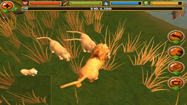 Wild Safari Simulator: Lion смотреть онлайн