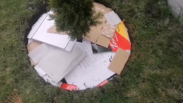 Приствольный круг из картона смотреть онлайн