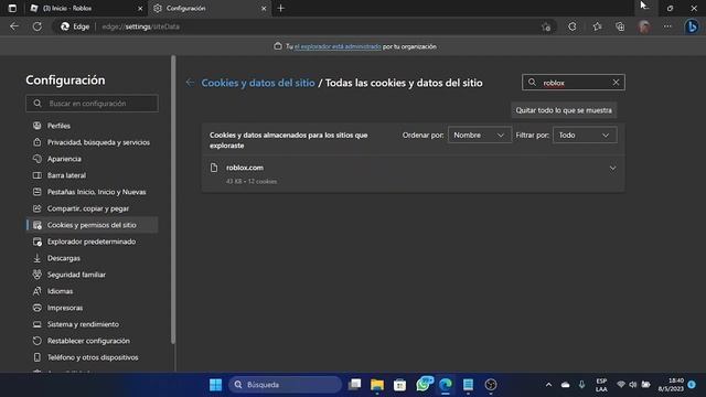 THE APPLICATION ENCOUNTERED AN UNRECOVERABLE ERROR ROBLOX (solucion 2023) EN ESPAÑOL смотреть онлайн