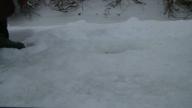 Рыбалка 2018 Ловля плотвы. смотреть онлайн