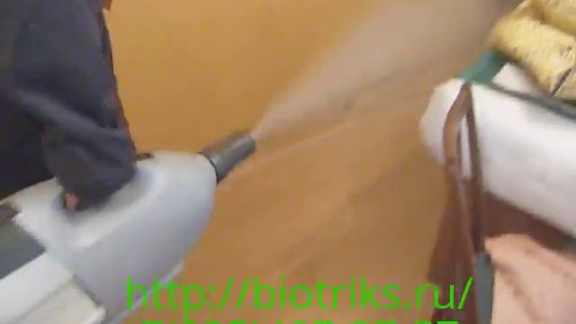 Уничтожение домашних-постельных клещей,клопов,жуков|+7-495-363-87-20 смотреть онлайн