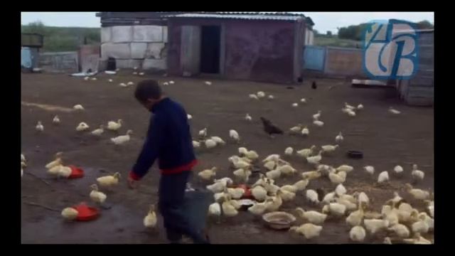 Щедрый край водопадов смотреть онлайн
