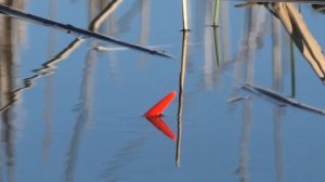 ТОП поклёвок КАРАСЯ КРУПНЫМ планом  ПОПЛАВОК  мормышка ГОРОХОВАЯ мастырка