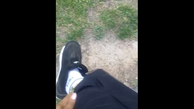 Using the Citronella Plant as A Natural Repellant смотреть онлайн