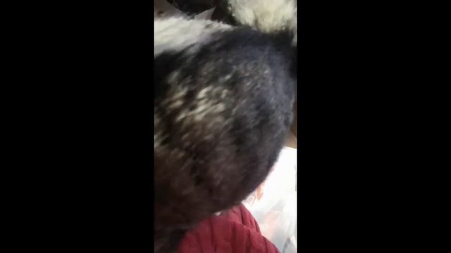 BIOS смотреть онлайн