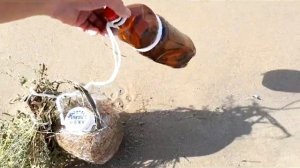 Как ловить креветки в Чёрном море