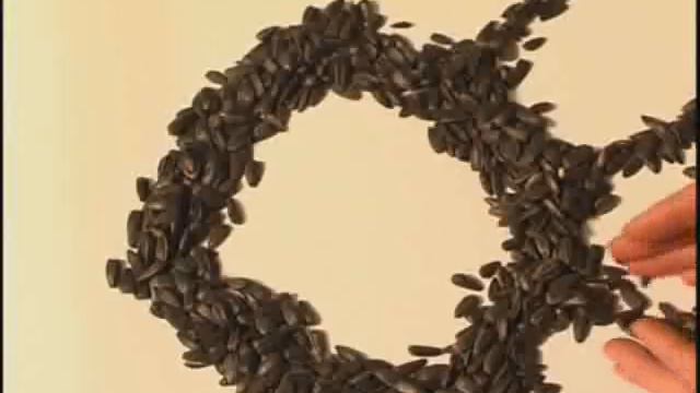 History Semechki смотреть онлайн