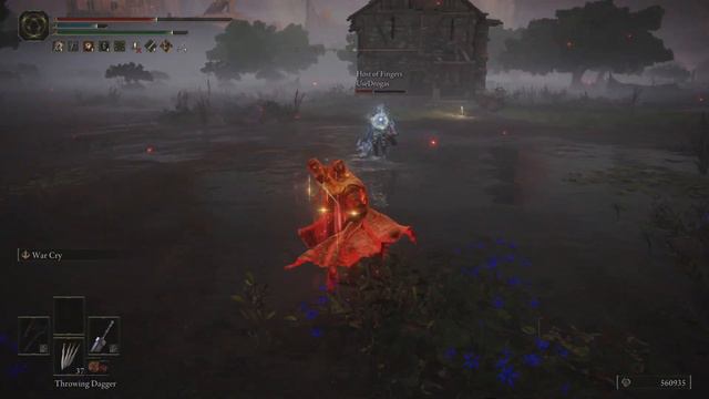 ELDEN RING Warrior invasion in Liurnia of the Lakes 25 смотреть онлайн