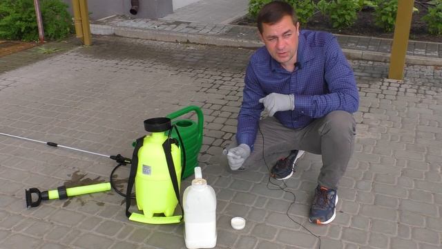 Как удалить СОРНЯКИ на газоне? Когда и чем обработать? ПОДРОБНАЯ ИНСТРУКЦИЯ. Одуванчики на газоне. смотреть онлайн