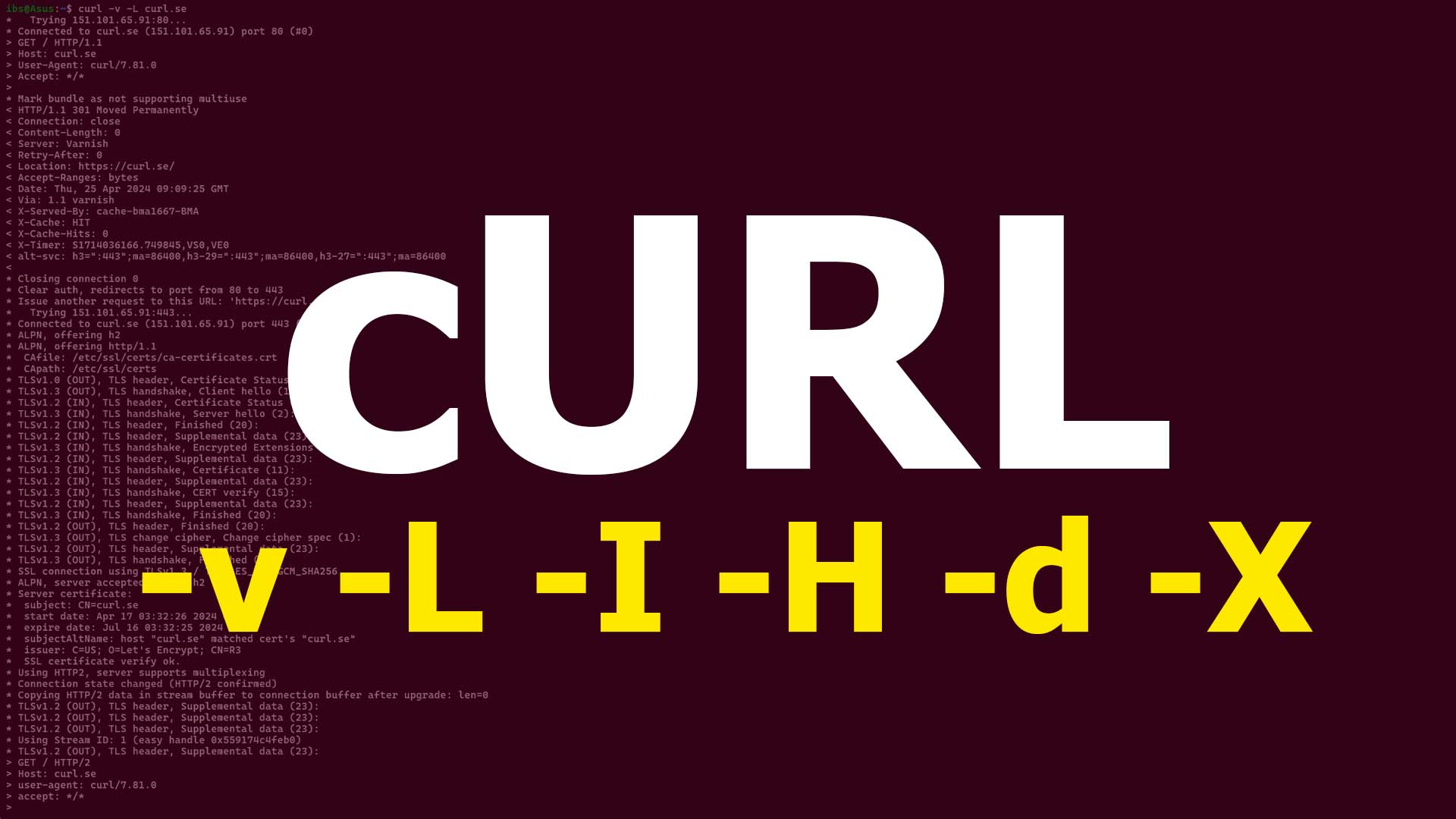 cURL - Основные команды смотреть онлайн
