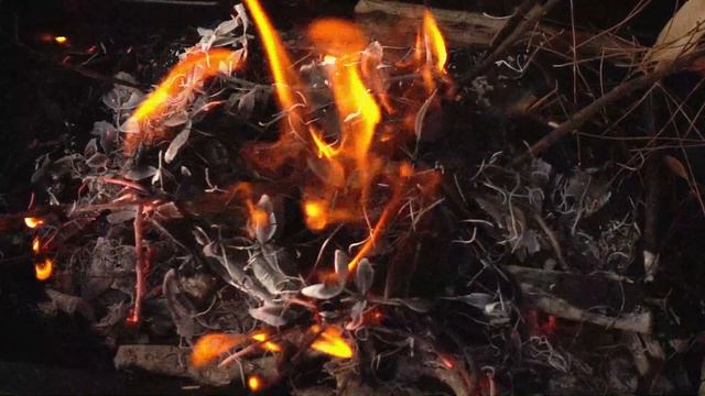 Shaman Drums For Deep Meditation смотреть онлайн