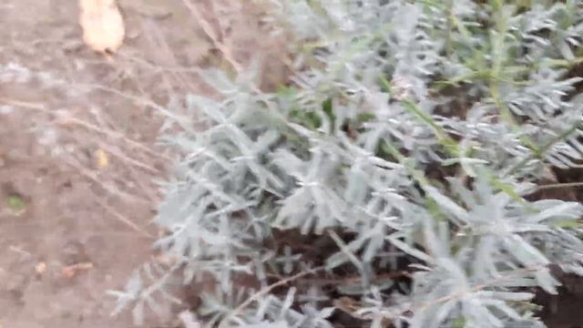 Строительный Поиск