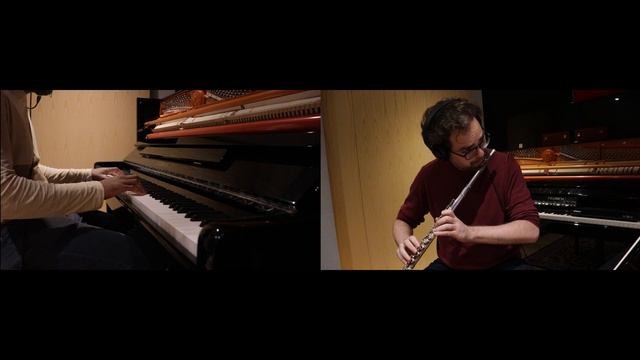 Morphogenetic Sorrow 2022 - Piano & Flute Duet (Zero Escape: Nonary Games) смотреть онлайн