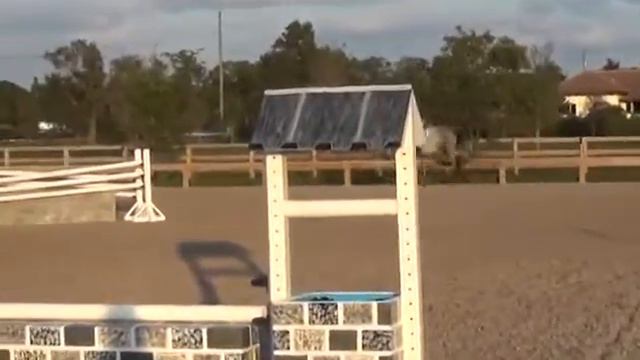 Savanna hunter jumps смотреть онлайн