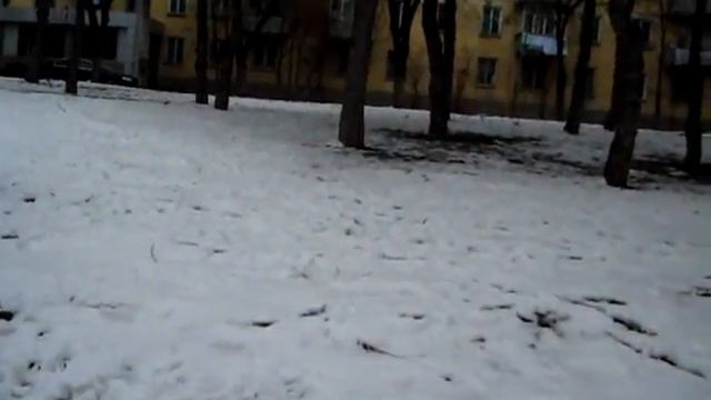 Отстрел птиц на Рышкановке (Кишинёв) смотреть онлайн