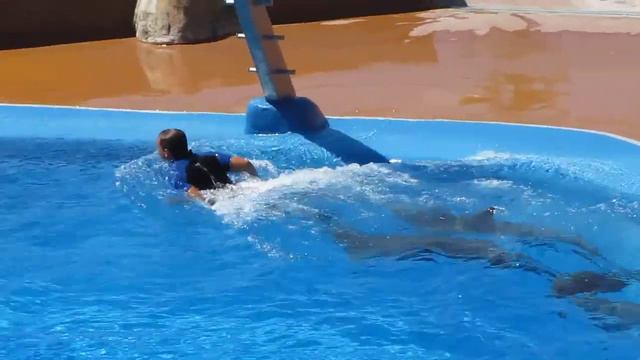Шоу дельфинов в аквапарке Маринеленд Каталония2 смотреть онлайн
