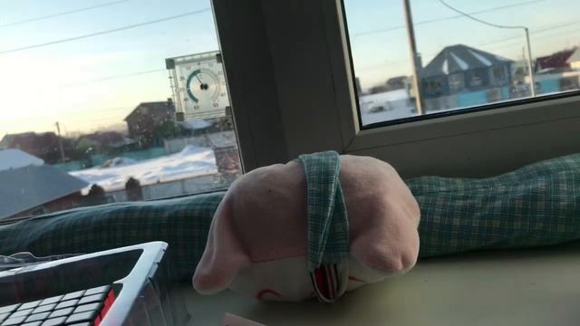 Обзор подарка на день рождения Набор кубиков смотреть онлайн