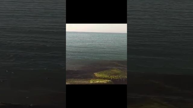 НИКОЛАЕВКА КРЫМ смотреть онлайн