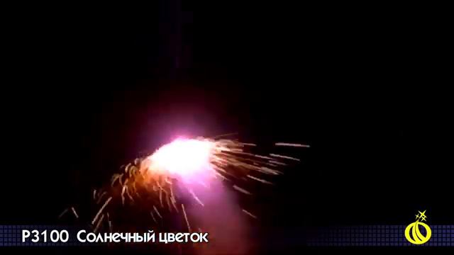 р3100 смотреть онлайн