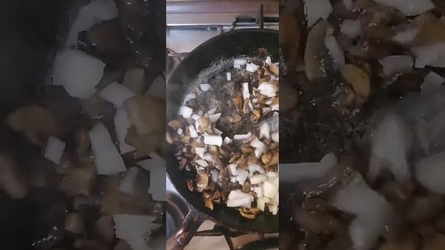 Грибы: Исследование Природы