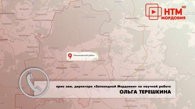 Волчья семья смотреть онлайн