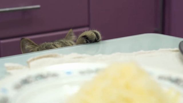 ЧЕМ НАКОРМИТЬ МАЛЫША? Полезная запеканка для хорошей мамы. смотреть онлайн