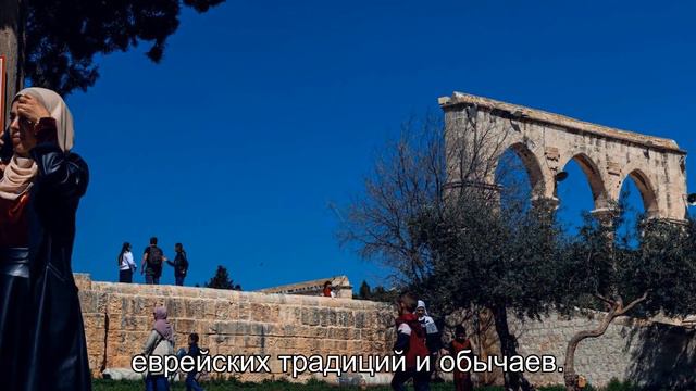 Как живут современные хасиды в Израиле? смотреть онлайн