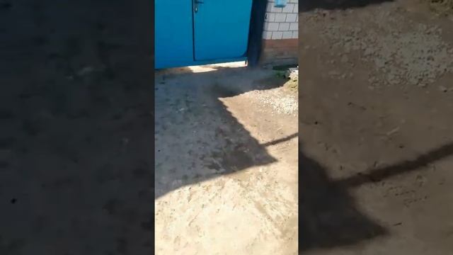 Попадание или промах челендж смотреть онлайн