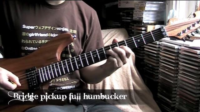 Washburn N4 Coil tap tones - Peacemaker Die - Extreme смотреть онлайн