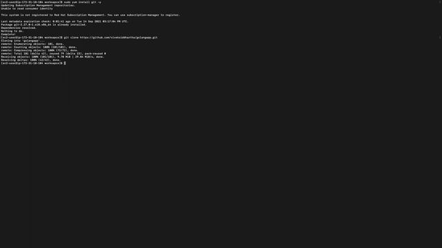 Golang Code - Deploy Go Application on EC2 machine смотреть онлайн