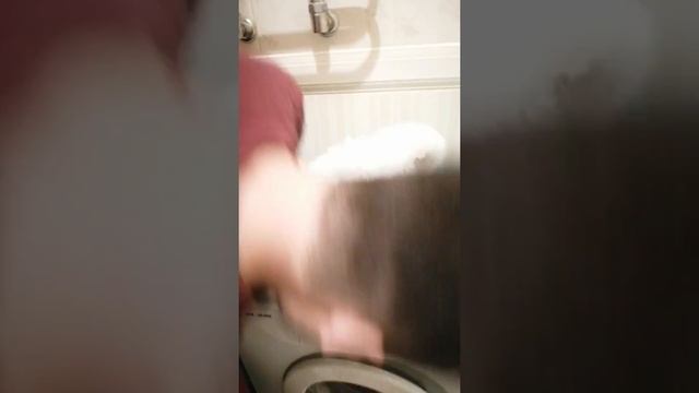 Как ухаживать за Бишон-Фризе смотреть онлайн