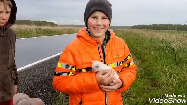 КОТЁНОК ПОД ДОЖДЁМ смотреть онлайн