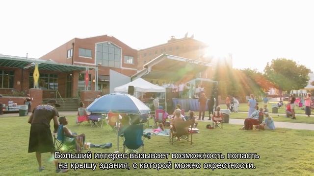 Наука о Животных и их Поведение