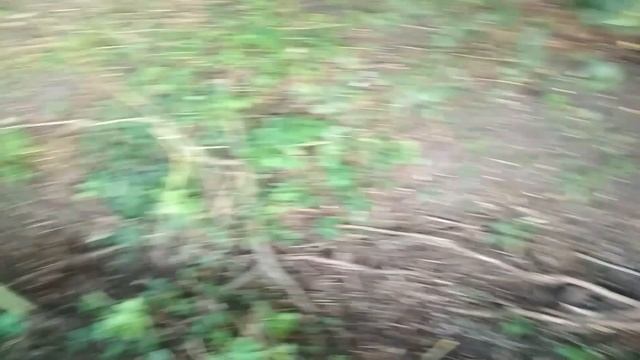 Перенёс эл пастуха на новое место. смотреть онлайн