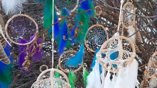 Вдогонку ловцы полетели.