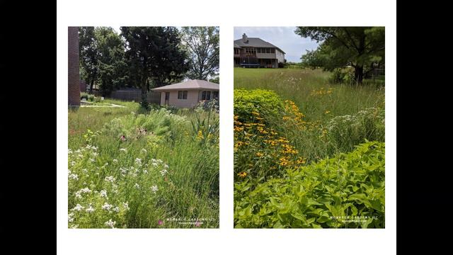 An Introduction on Converting Lawn to Prairie Gardens смотреть онлайн