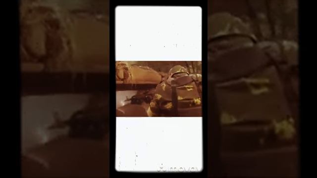 "ММГ"(музыка и слова Александр Силантьев) смотреть онлайн