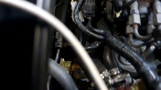 Не думав що таке побачу в Португалії (Nissan Almera N15) смотреть онлайн