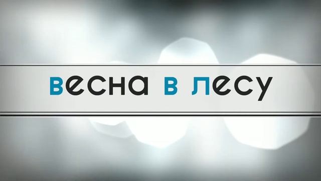 Весна в лесу. Николай Заболоцкий. смотреть онлайн