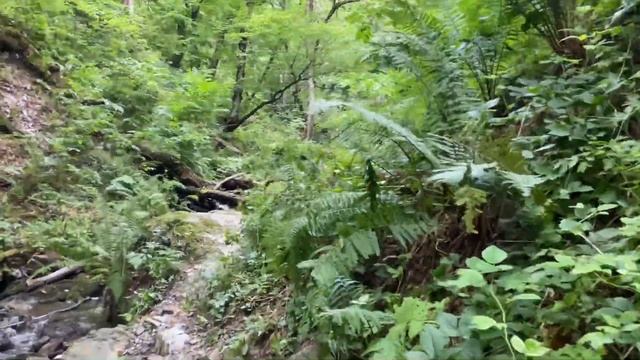 Тропа «Путь Воина» и ее покорение Красная Поляна| Эстосадок смотреть онлайн