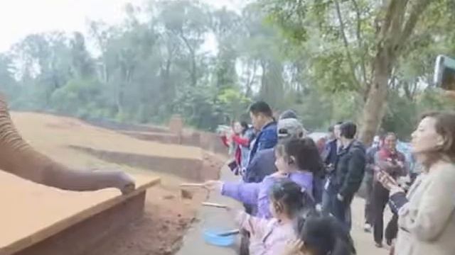 Zoo in Haikou on the island of Hainan, China смотреть онлайн