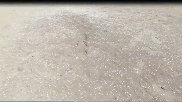 Неизведанная Чечня Пустыня смотреть онлайн