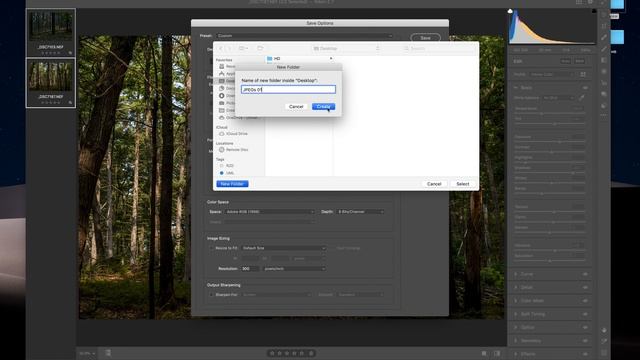 JPEG Export - Adobe Camera RAW смотреть онлайн
