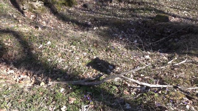 Поездка на Сааремаа, кратер Каали смотреть онлайн
