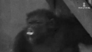 Забытый остров смерти – город призрак Аральск 7