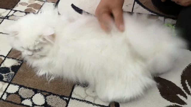 Ирилий хвост 2 смотреть онлайн